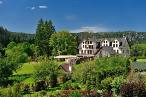 Отель Hotel Javor, Горни Адршпах